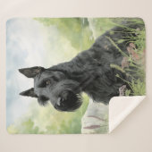 美しいスコットランド シェルパブランケット (正面(横))