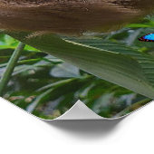 美しいスロース聖なる書物、 経典ポスターエペソ4:32 ポスター (角)