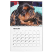 美しいスーパースターの犬 カレンダー (2月 2027)