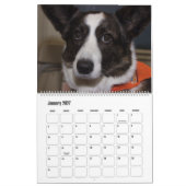 美しいスーパースターの犬 カレンダー (1月 2027)