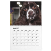美しいスーパースターの犬 カレンダー (3月 2027)