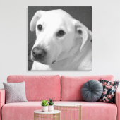 美しいスープに浸かる犬の白黒写真|過去記事 キャンバスプリント (インサイチュ (リビング))