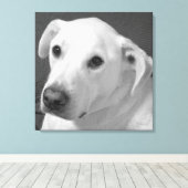 美しいスープに浸かる犬の白黒写真|過去記事 キャンバスプリント (インサイチュ (ウッドフロア))