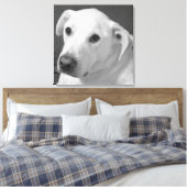 美しいスープに浸かる犬の白黒写真|過去記事 キャンバスプリント (インサイチュ (寝室))