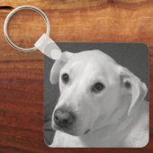 美しいスープに浸かる犬の白黒写真|過去記事 キーホルダー (正面)