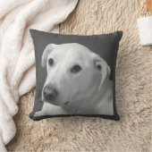 美しいスープに浸かる犬の白黒写真|過去記事 クッション (ブランケット)