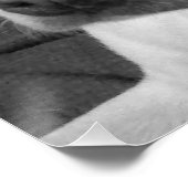 美しいスープに浸かる犬の白黒写真|過去記事 ポスター (コーナー)