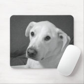 美しいスープに浸かる犬の白黒写真|過去記事 マウスパッド (マウス)