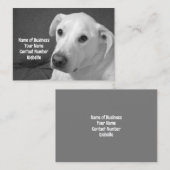 美しいスープに浸かる犬の白黒写真|過去記事 名刺 (正面/裏面)