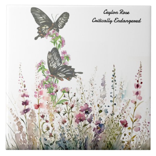 美しいセイロンバラハンド絵を描バチョウ タイル (正面)