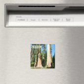 美しいセコイアマグネット！ マグネット (インサイチュ (食洗機))