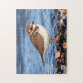 美しいセミファルマトプロバーアットザビーチ ジグソーパズル (縦)