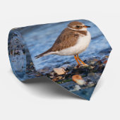 美しいセミファルマトプロバーアットザビーチ ネクタイ (ロール)