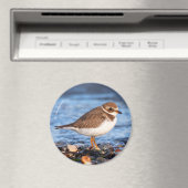 美しいセミファルマトプロバーアットザビーチ マグネット (インサイチュ (食洗機))