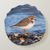 美しいセミファルマトプロバーアットザビーチ ラウンドクッション (裏面)