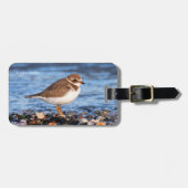 美しいセミファルマトプロバーアットザビーチ ラゲッジタグ (正面横)