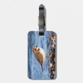 美しいセミファルマトプロバーアットザビーチ ラゲッジタグ (裏面縦)