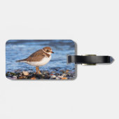 美しいセミファルマトプロバーアットザビーチ ラゲッジタグ (裏面横)