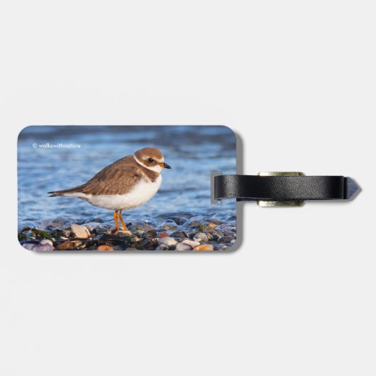 美しいセミファルマトプロバーアットザビーチ ラゲッジタグ (裏面横)