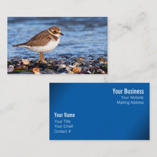 美しいセミファルマトプロバーアットザビーチ 名刺 (正面/裏面)