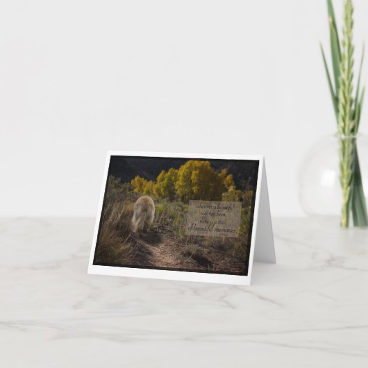 美しいソウルレオンバーガー悔やみや弔慰 カード (正面)