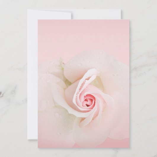 美しいソフトピンクウェットバラエレガントな結婚式 招待状 (裏面)