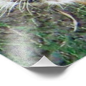 美しいタイガーのポスター！ フォトプリント            (角)