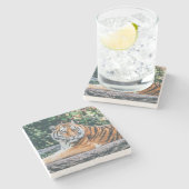 美しいタイガーストーンコースター ストーンコースター (横)