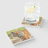 美しいタイガーストーンコースター ストーンコースター (横)