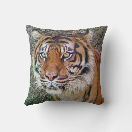 美しいタイガー枕! クッション (裏面)