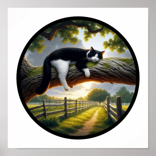 美しいタキシード猫の丸3D画像 ポスター (正面)