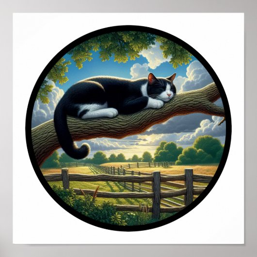 美しいタキシード猫の丸3D画像 ポスター (正面)