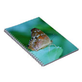 美しいダナウスプレクシプスが葉に止まっている ノートブック (右側)