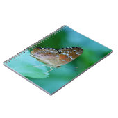 美しいダナウスプレクシプスが葉に止まっている ノートブック (左側)