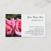 美しいダブルパーフェクトホットピンクのバラ花 名刺 (裏面)