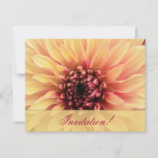 美しいダリアのブライダルシャワーの招待状 招待状 (正面)