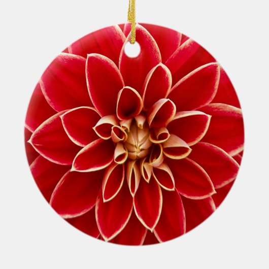 美しいダリアの花の花びらのデザイン セラミックオーナメント (裏面)