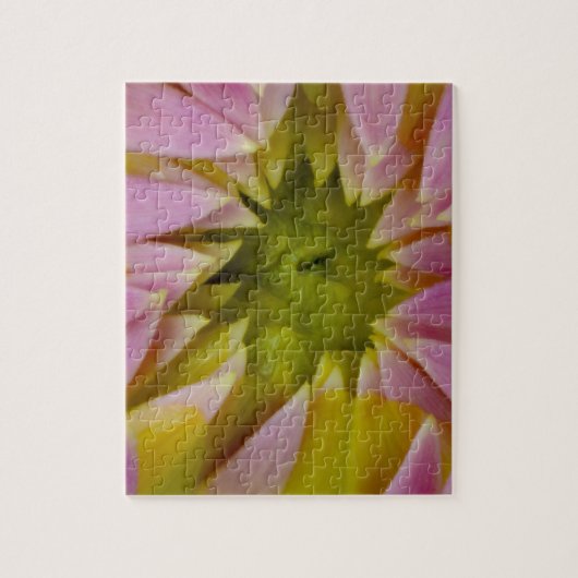 美しいダリア ジグソーパズル (縦)