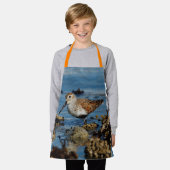 美しいダンリンサンドパイパーがソロにビーチ エプロン (着用した状態)