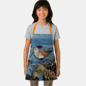 美しいダンリンサンドパイパーがソロにビーチ エプロン (インサイチュ)