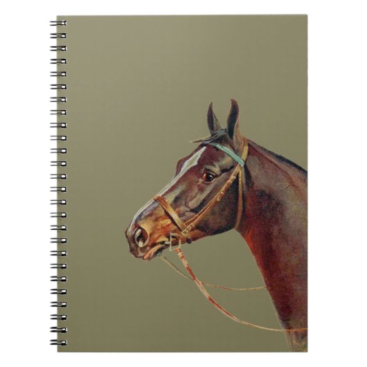 美しいダークブラウンの馬、ヴィンテージポートレート ノートブック (正面)