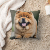 美しいチャウ クッション (ブランケット)