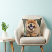 美しいチャウ クッション (椅子)