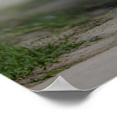 美しいチャウ ポスター (角)