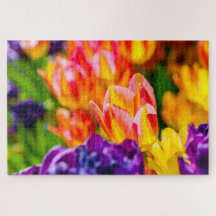 美しいチューリップ花