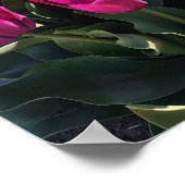 美しいチューリップ ポスター (角)