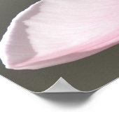 美しいチューリップ ポスター (角)