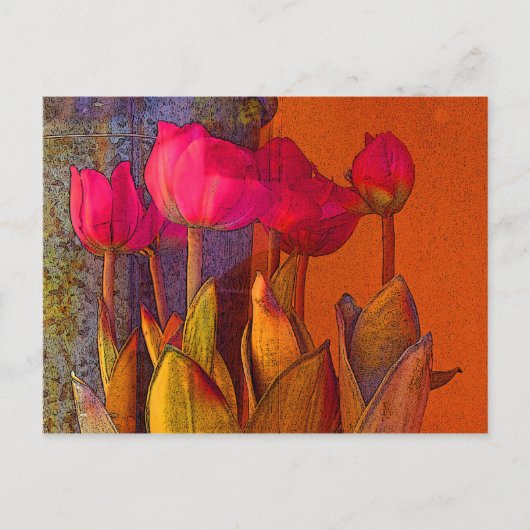 美しいチューリップ ポストカード (正面)