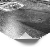 美しいチンプカップル – 写真プリント フォトプリント            (角)