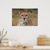 美しいチーズポートレート ポスター (キッチン)